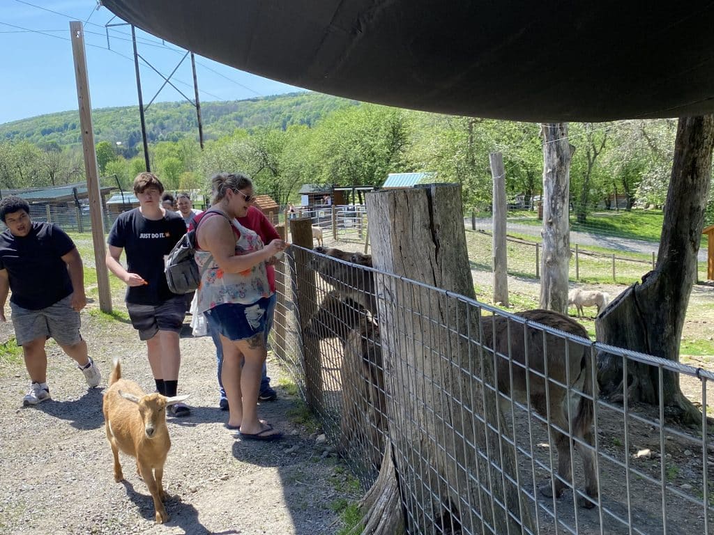 Small Animal Adventure Walk-Thru - Varysburg, NY - Hidden Valley Animal