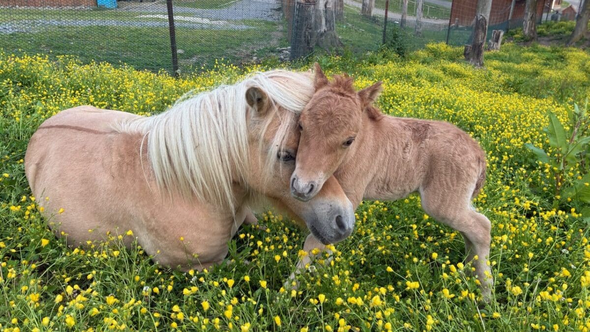 Rosie & baby 6 13 25