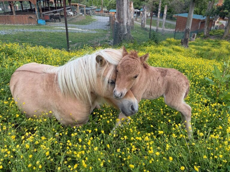 Rosie & baby 6 13 25